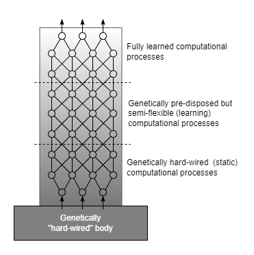 biologically plausible CP and MM