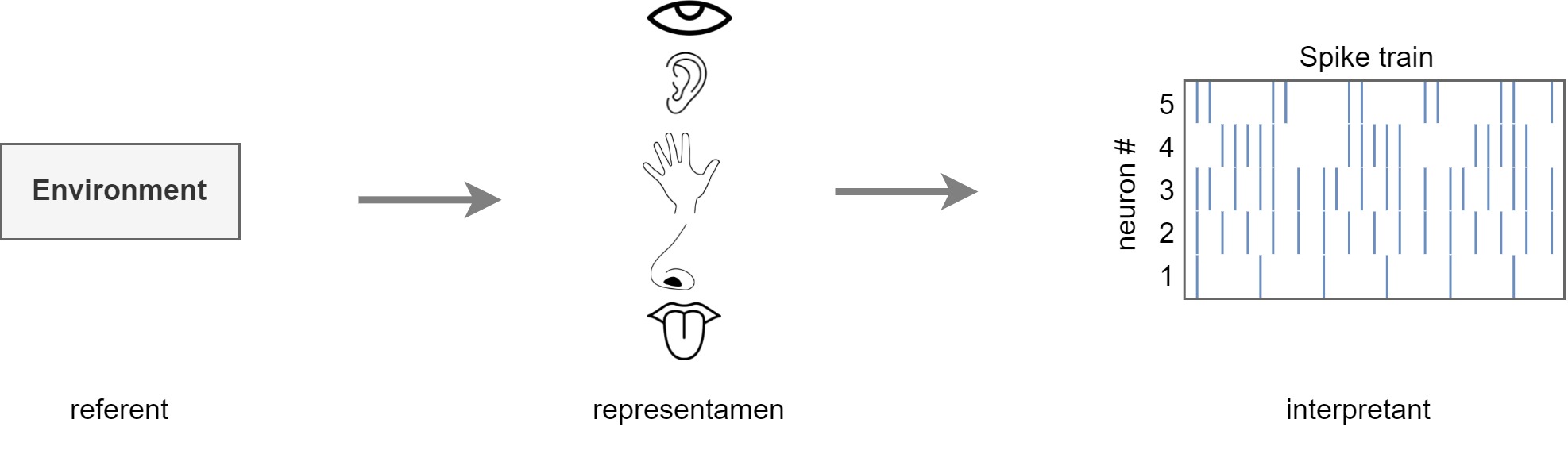 sensory semiotics