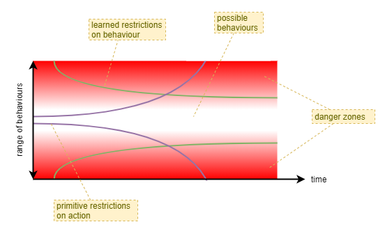 behaviour space limits