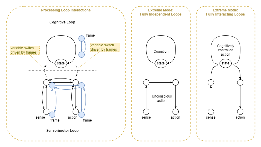 sensorimotor and cognitive loops