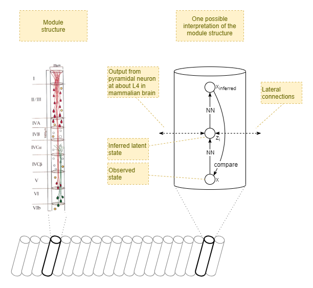 Cortical column