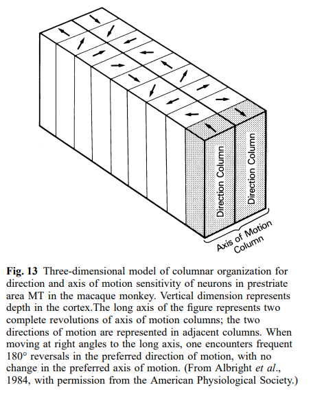 Columnar direction and axis