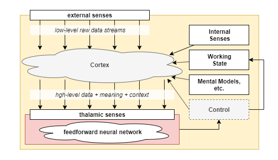 thalamic control